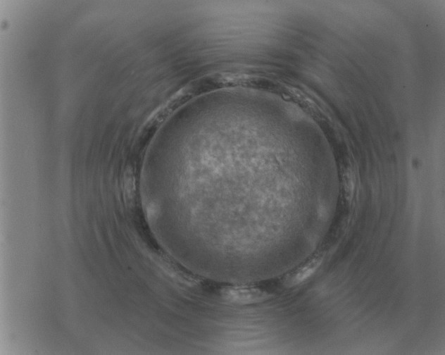 X0000074340372200609082103