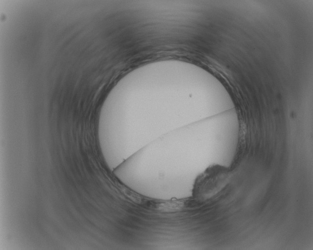 X0000074340373200609082103