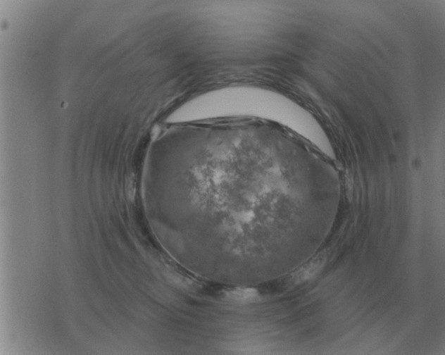 X0000074340374200609082103