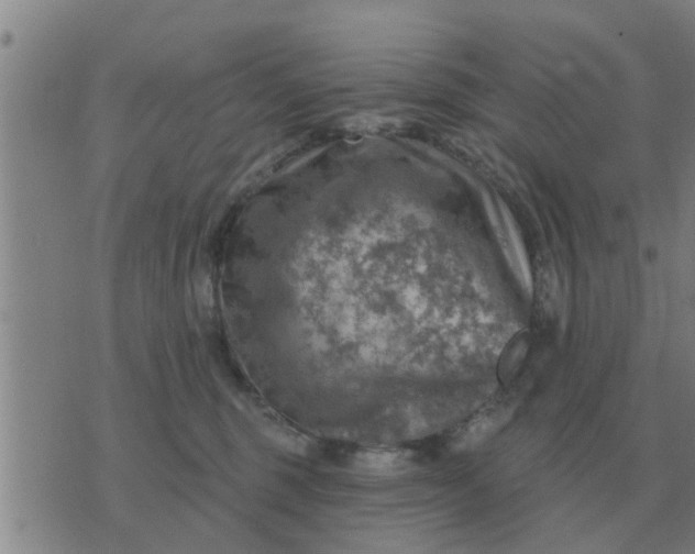 X0000074340375200609082103