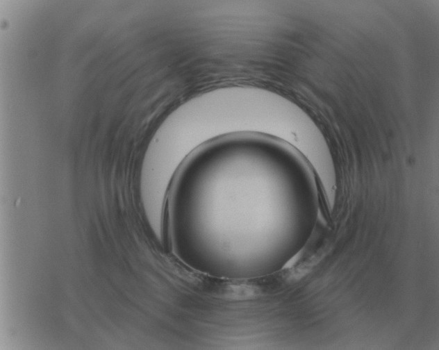 X0000074340376200609082103