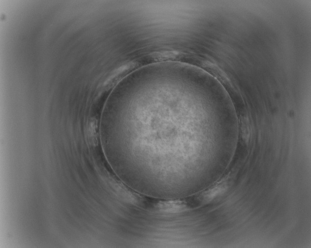 X0000074340378200609082103