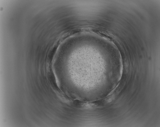 X0000074340379200609082103