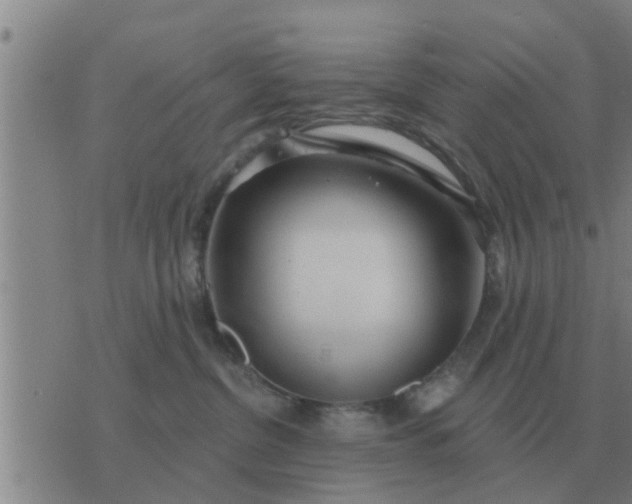 X0000074340380200609082103