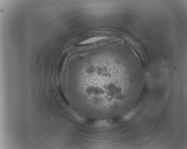 X0000074340381200609082103