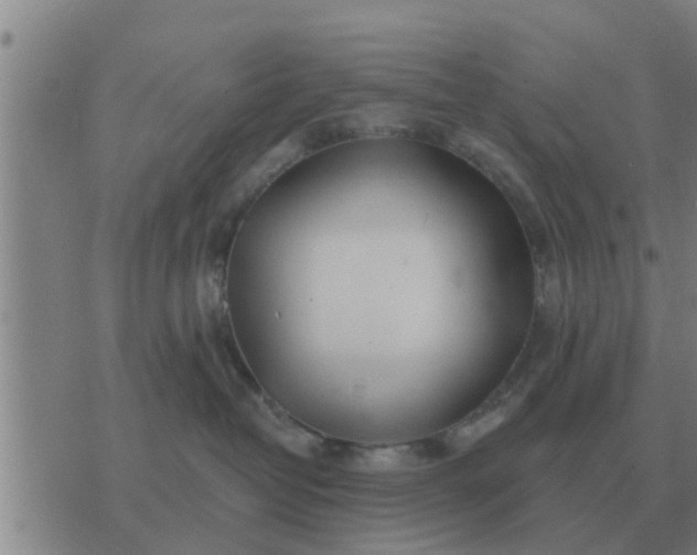 X0000074340382200609082103