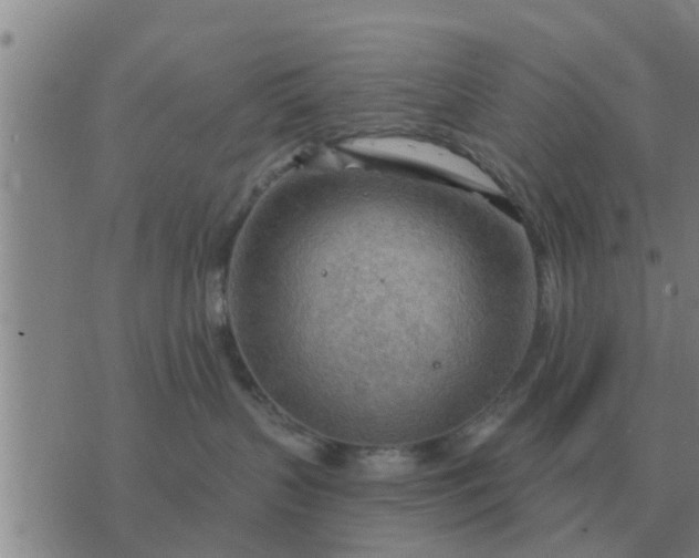 X0000074340383200609082103