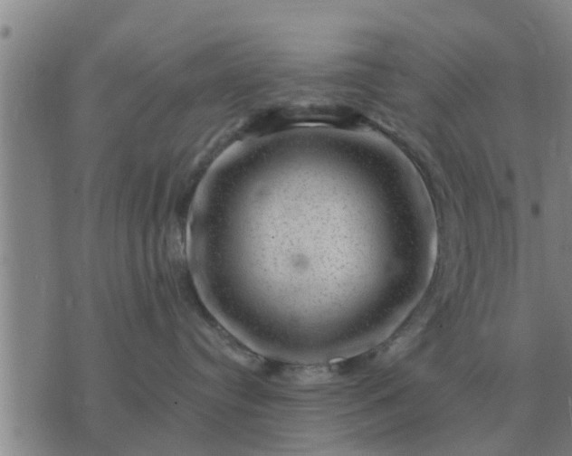 X0000074340384200609082103