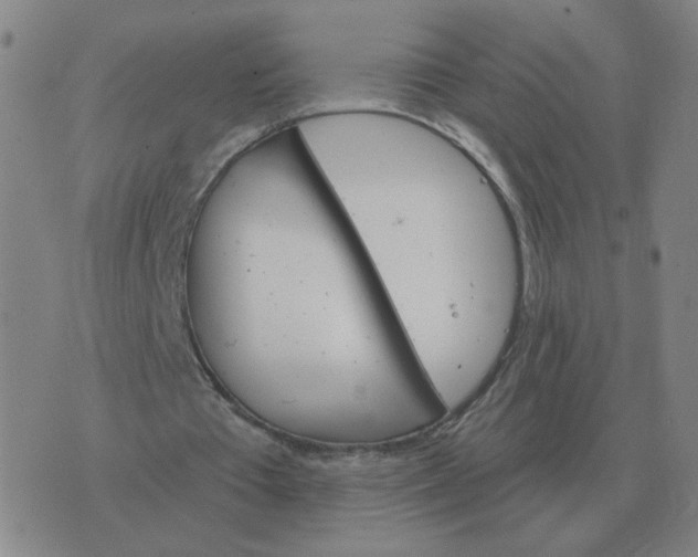 X0000074340385200609082102