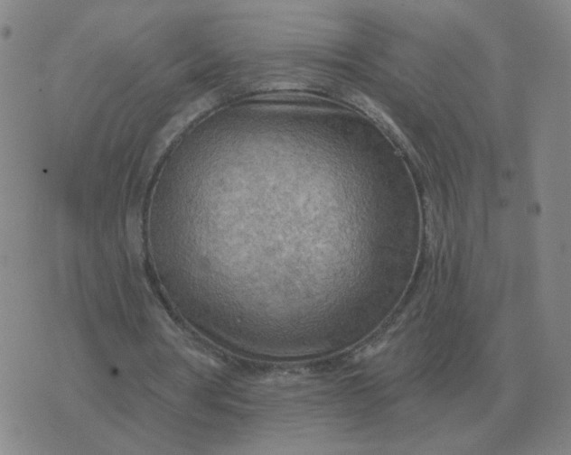 X0000074340386200609082102