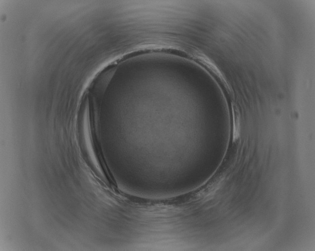 X0000074340387200609082102