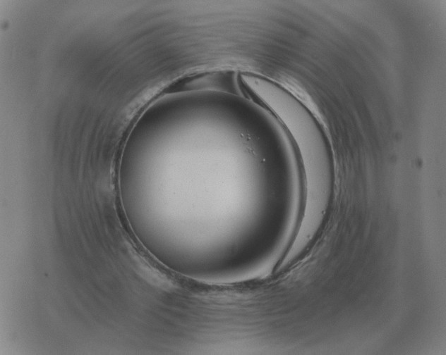 X0000074340389200609082102