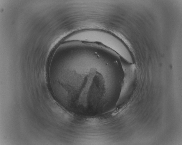 X0000074340391200609082102