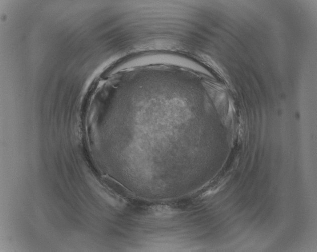 X0000074340392200609082102