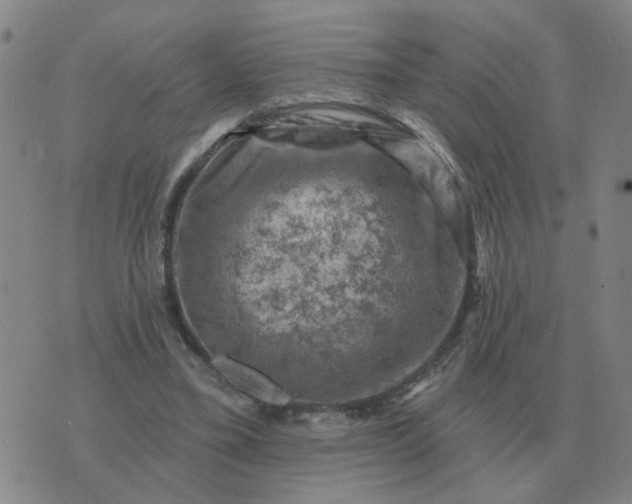 X0000074340395200609082102