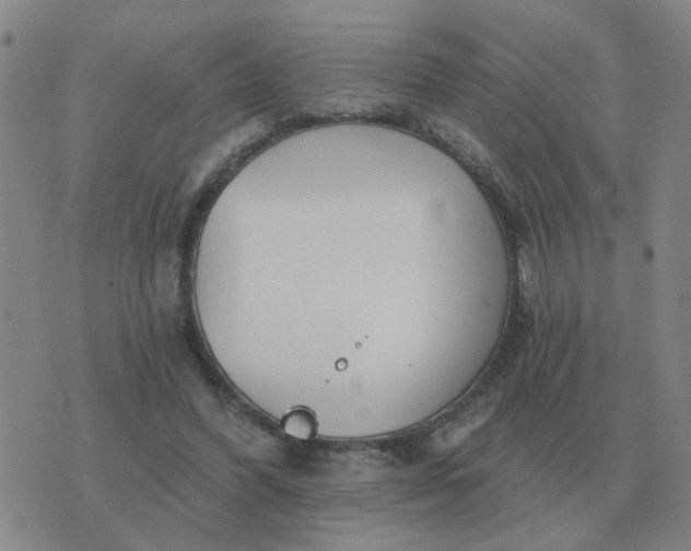 X0000074340396200609082102