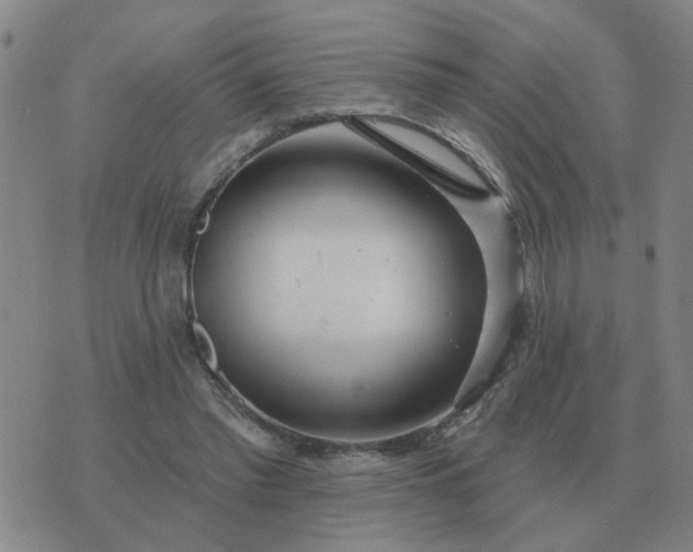 X0000074340397200609082102