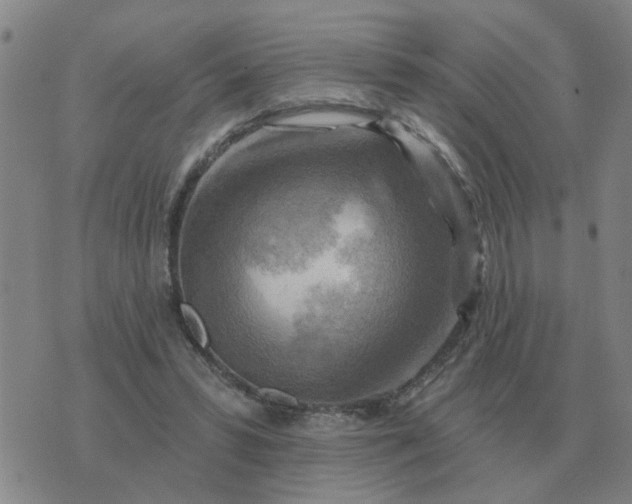 X0000074340399200609082102