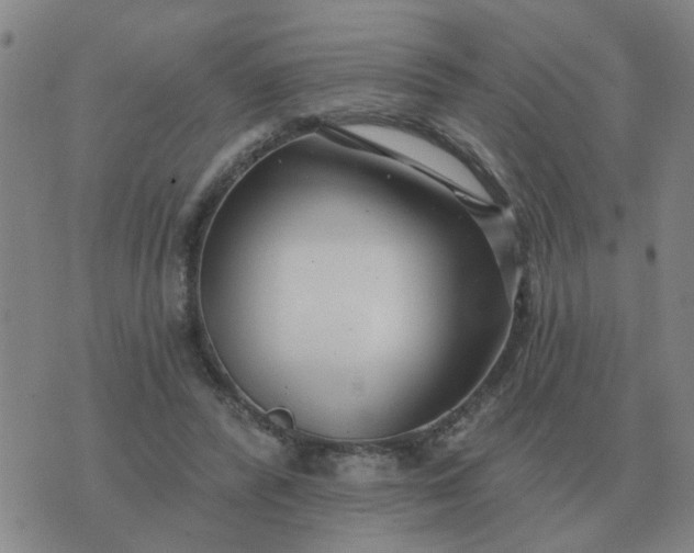 X0000074340400200609082102