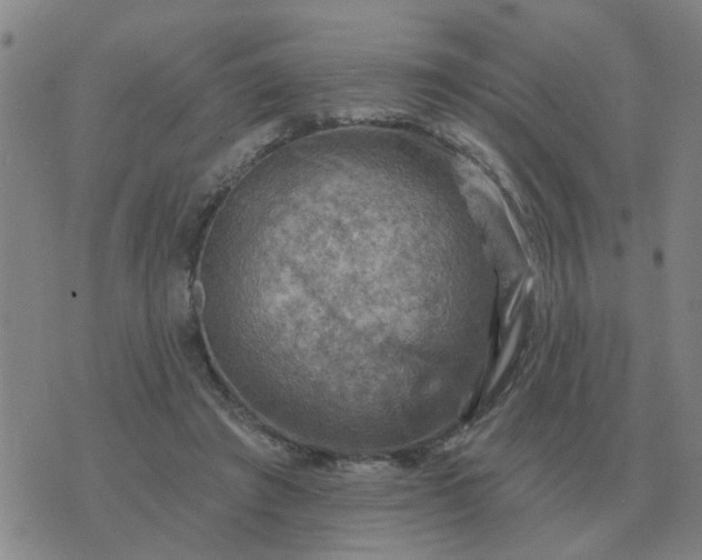 X0000074340401200609082102