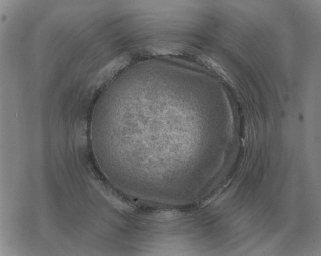 X0000074340402200609082102