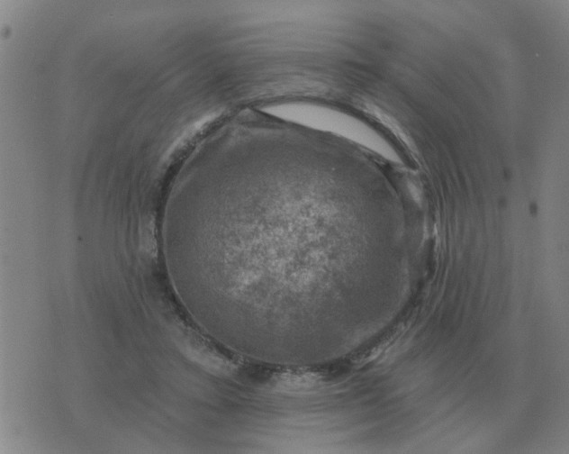 X0000074340403200609082102