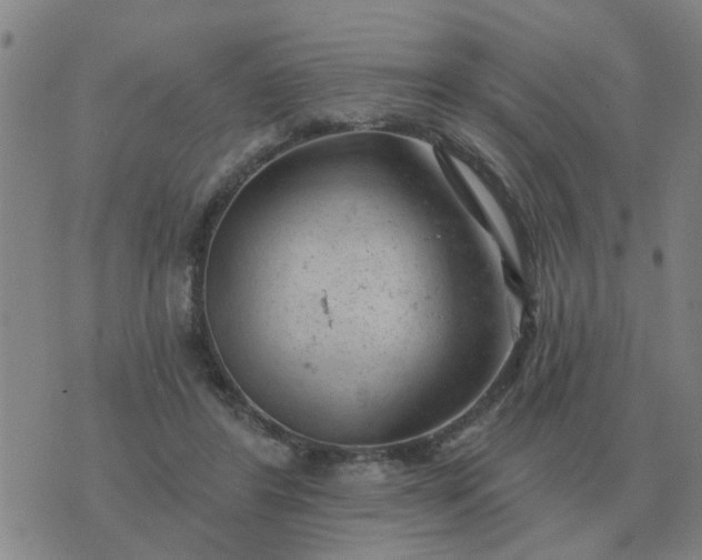 X0000074340404200609082102