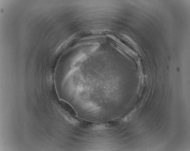 X0000074340405200609082102