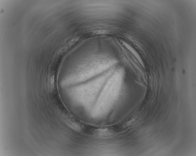 X0000074340406200609082102