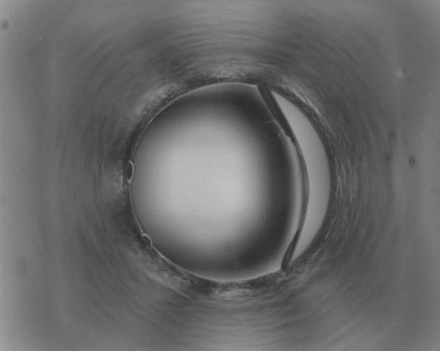 X0000074340407200609082102