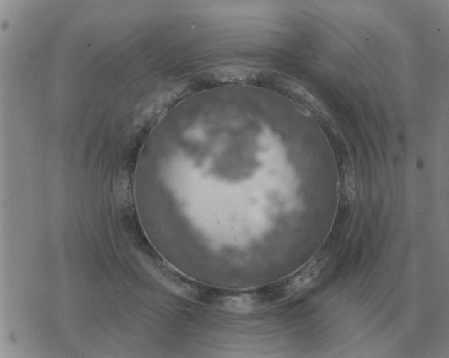 X0000074340411200609082102