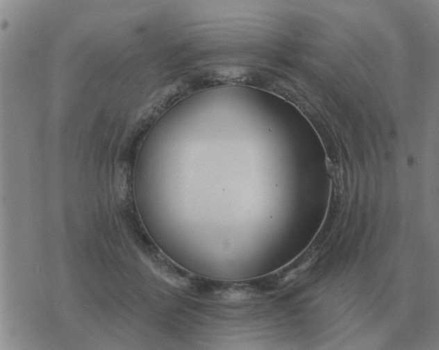 X0000074340412200609082102