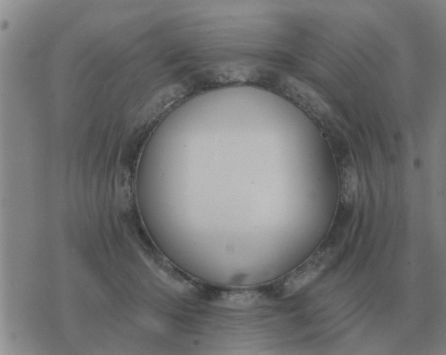 X0000074340414200609082102