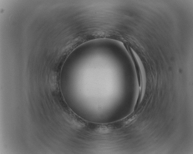 X0000074340416200609082102