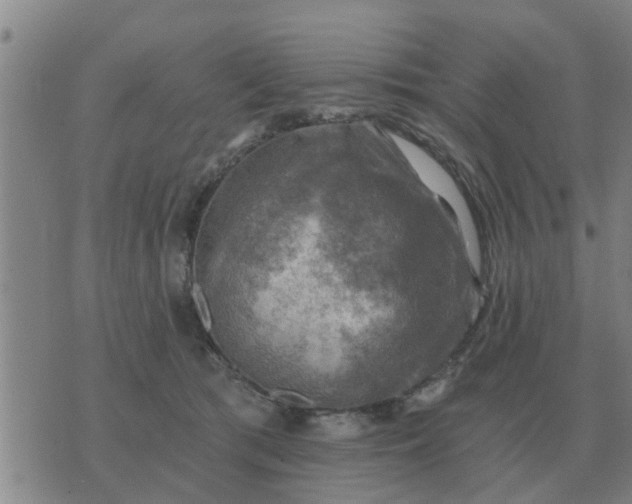 X0000074340417200609082102