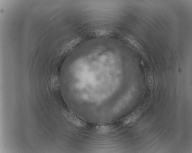 X0000074340419200609082102