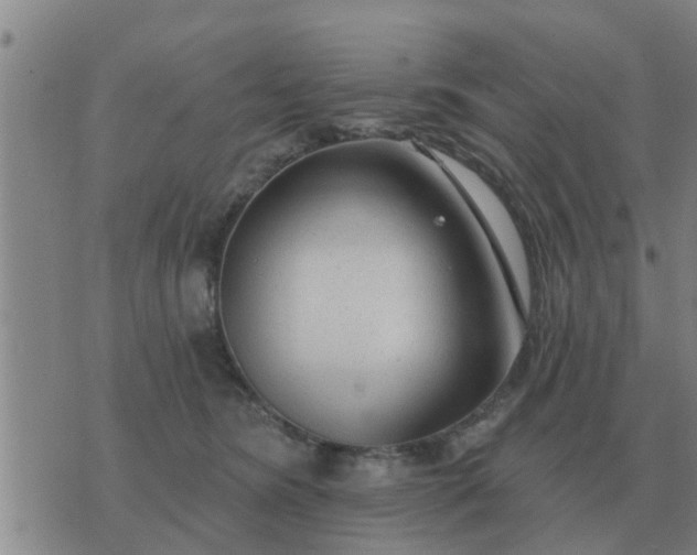 X0000074340420200609082102