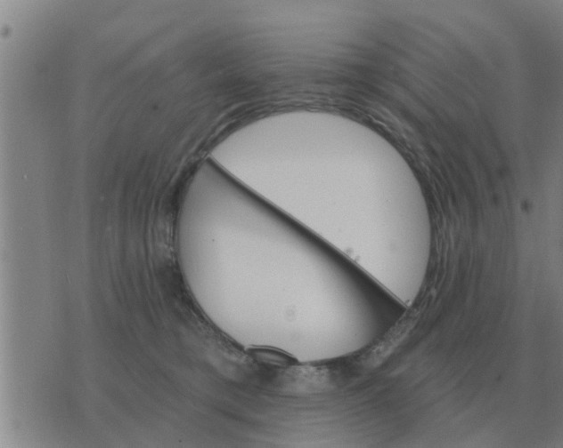 X0000074340421200609082102