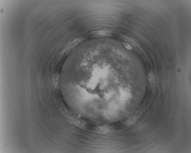 X0000074340423200609082102