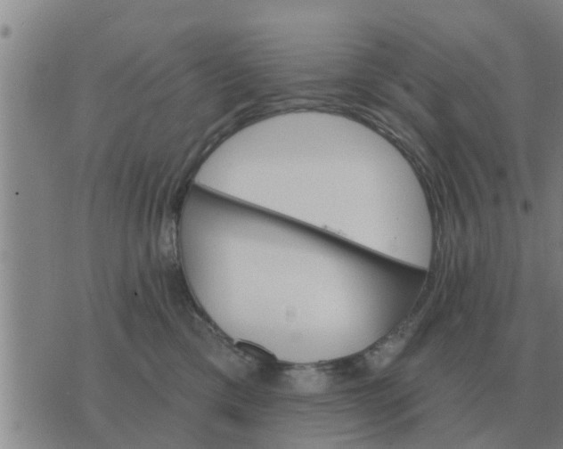 X0000074340425200609082102