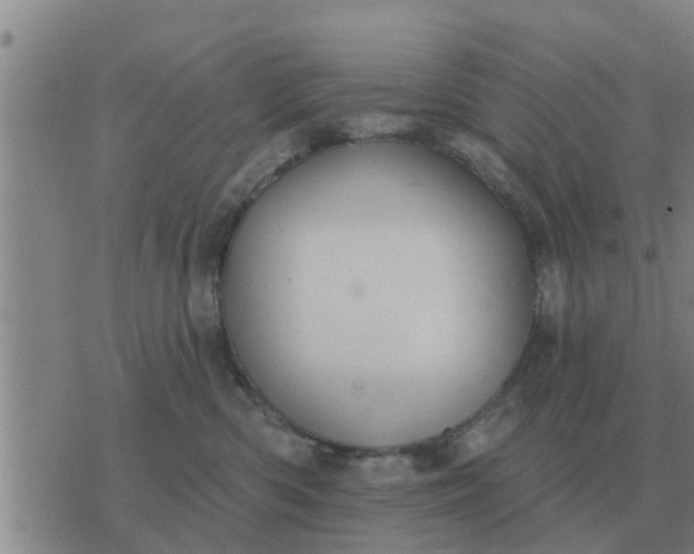 X0000074340426200609082102