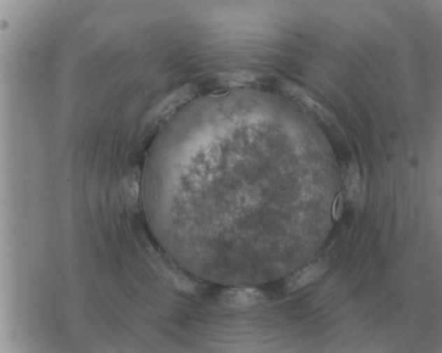 X0000074340427200609082102