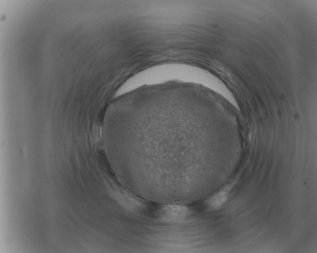 X0000074340429200609082102