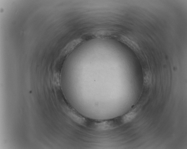 X0000074340430200609082102