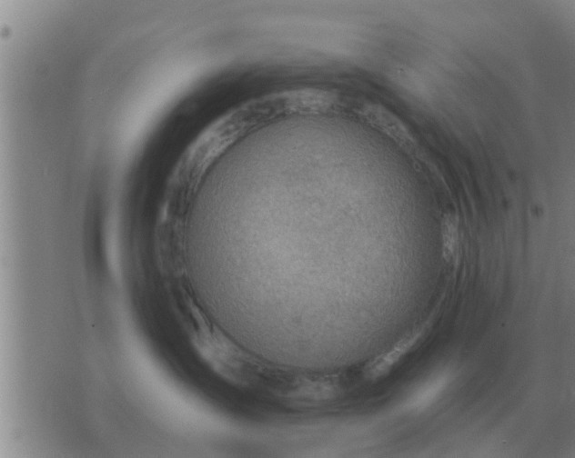 X0000074340431200609082102