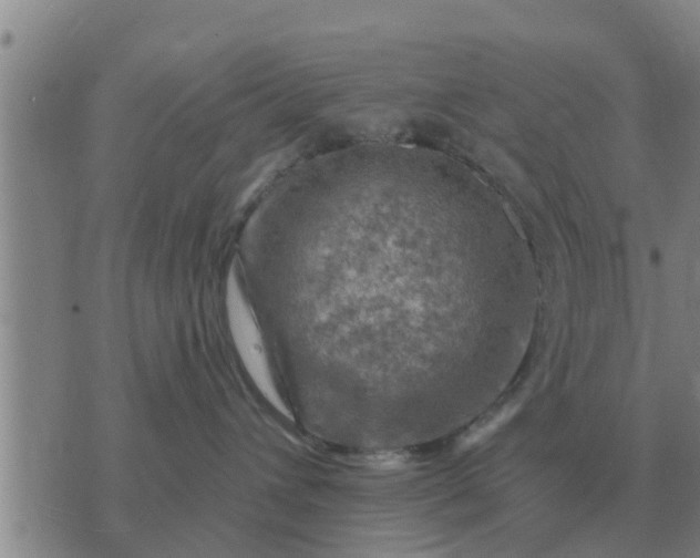 X0000074340432200609082102