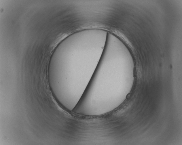 X0000074340433200609082101