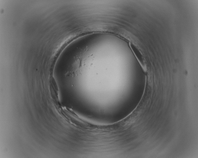 X0000074340434200609082101