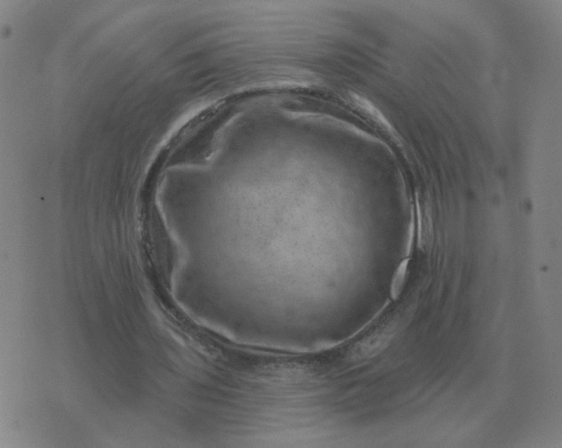 X0000074340435200609082101