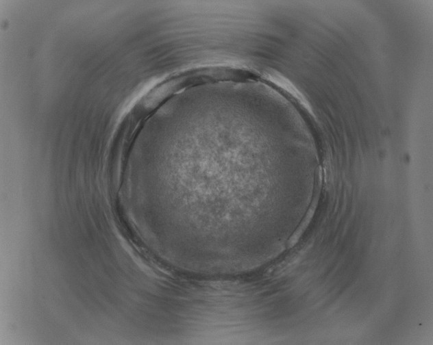 X0000074340436200609082101